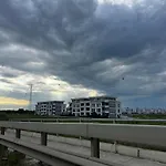 Bridge 蒂米什瓦拉