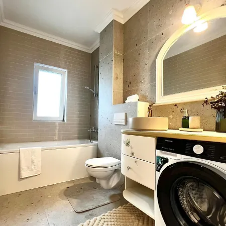 Bridge 蒂米什瓦拉