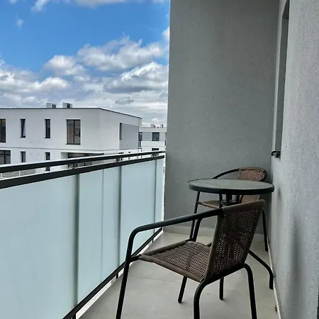 Bridge 蒂米什瓦拉