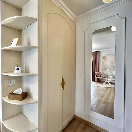 Bridge 蒂米什瓦拉