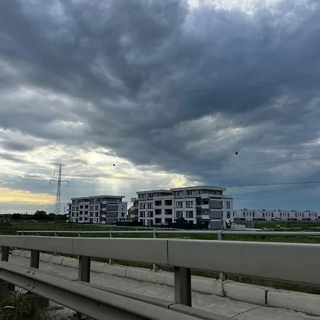 Bridge Timisoara