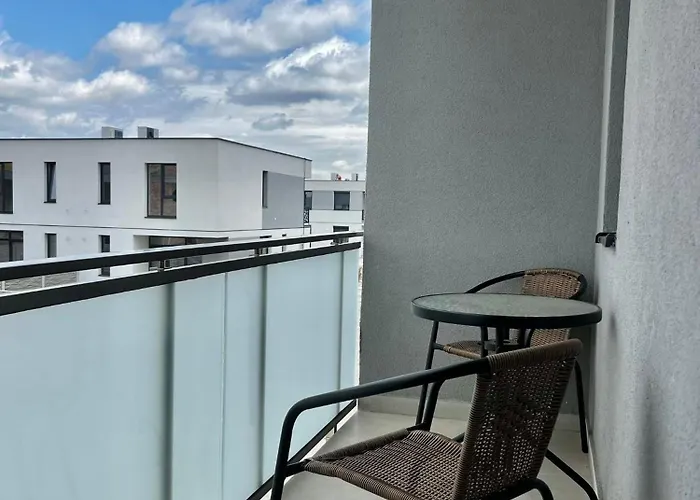 Bridge Тімішоара